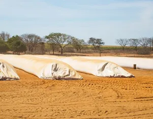 Armazenamento de grãos em silo-bolsa