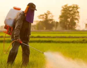 Segurança no uso de EPIs para aplicação de defensivos agrícolas