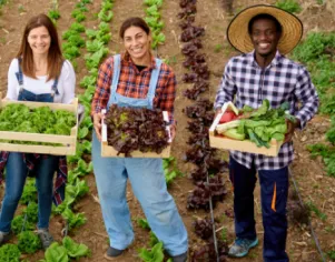 Nutrição e bem-estar no meio rural