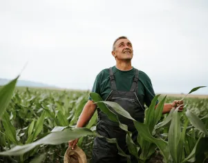 Mudanças Climáticas e Agricultura