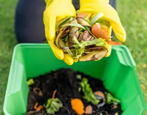 Compostagem para Fertilização Orgânica