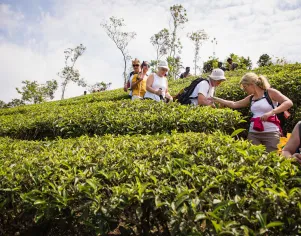 Como Preparar a sua Propriedade para Receber Turistas